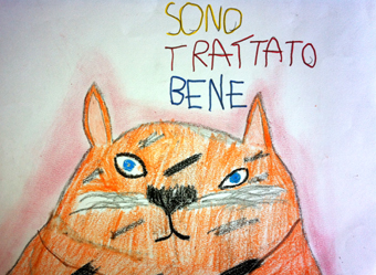 disegno concorso Gatto mio sostenibile