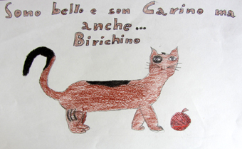 disegno concorso Gatto mio sostenibile