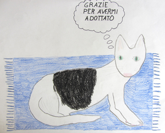 disegno concorso Gatto mio sostenibile