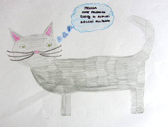 disegno concorso Gatto mio sostenibile