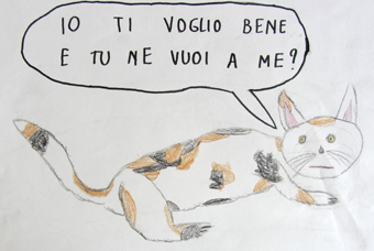 disegno concorso Gatto mio sostenibile