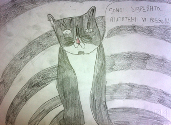 disegno concorso Gatto mio sostenibile