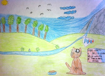 disegno concorso Gatto mio sostenibile