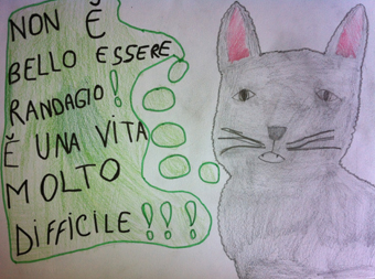 disegno concorso Gatto mio sostenibile