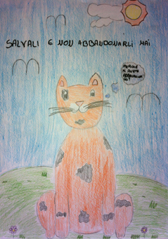 disegno concorso Gatto mio sostenibile