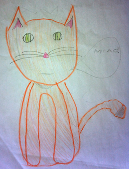 disegno concorso Gatto mio sostenibile