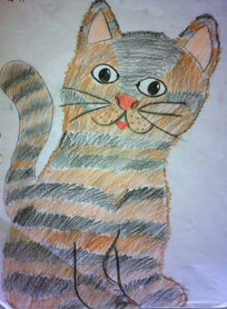 disegno concorso Gatto mio sostenibile