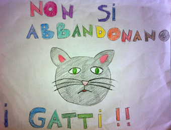 disegno concorso Gatto mio sostenibile