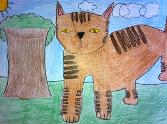 disegno concorso Gatto mio sostenibile