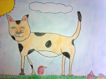 disegno concorso Gatto mio sostenibile