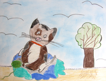 disegno concorso Gatto mio sostenibile