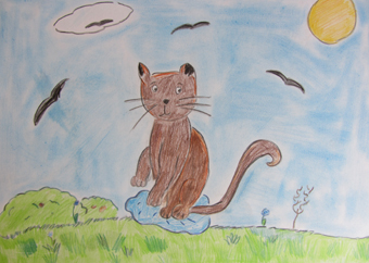 disegno concorso Gatto mio sostenibile