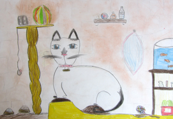 disegno concorso Gatto mio sostenibile