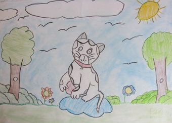 disegno concorso Gatto mio sostenibile