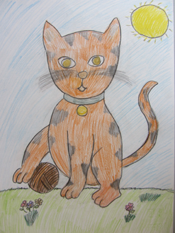 disegno concorso Gatto mio sostenibile