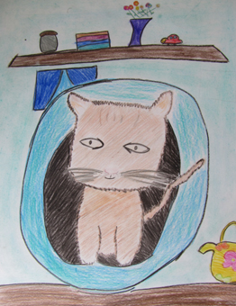 disegno concorso Gatto mio sostenibile