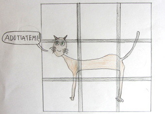 disegno concorso Gatto mio sostenibile