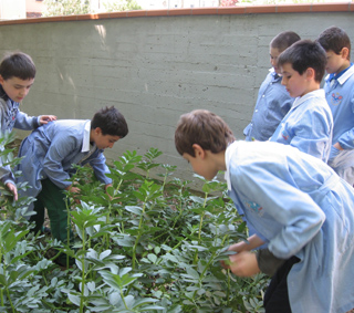 foto orto scuola garibaldi