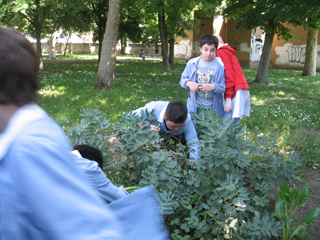 foto orto scuola garibaldi