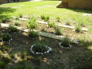 foto angolo delle aromatiche scuola garibaldi