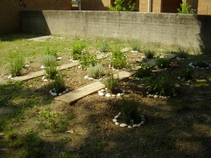 foto angolo delle aromatiche scuola garibaldi