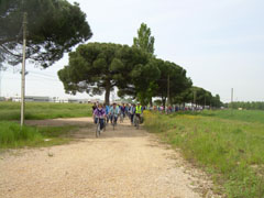 foto della pedalata della liberazione 2008