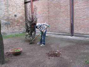 puliamo il mondo al nervi